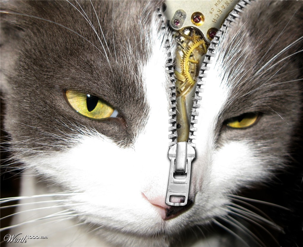 Clockwork Cat
