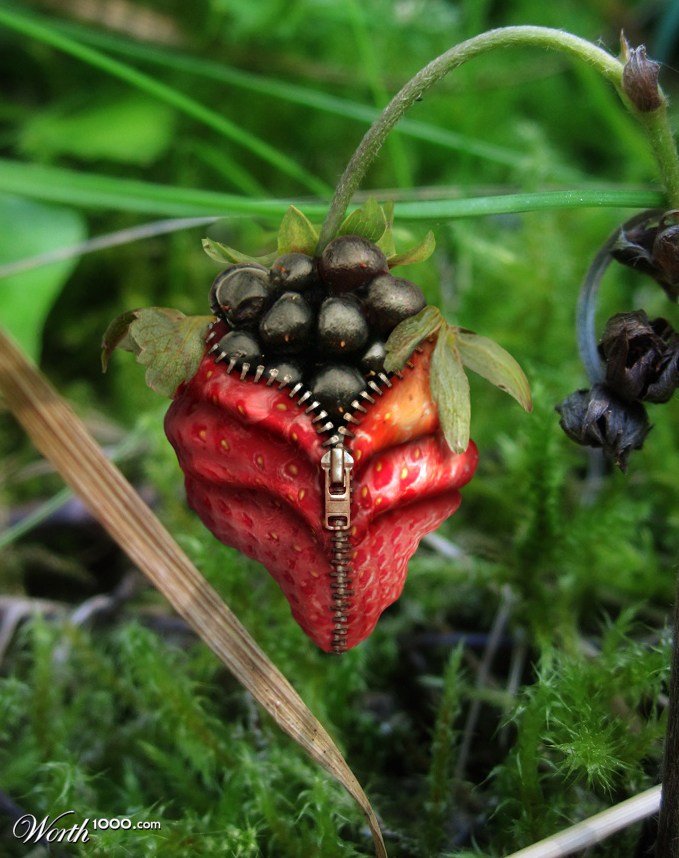 Unzipping a Strawberry