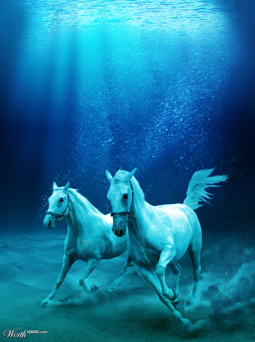 Sea Horses