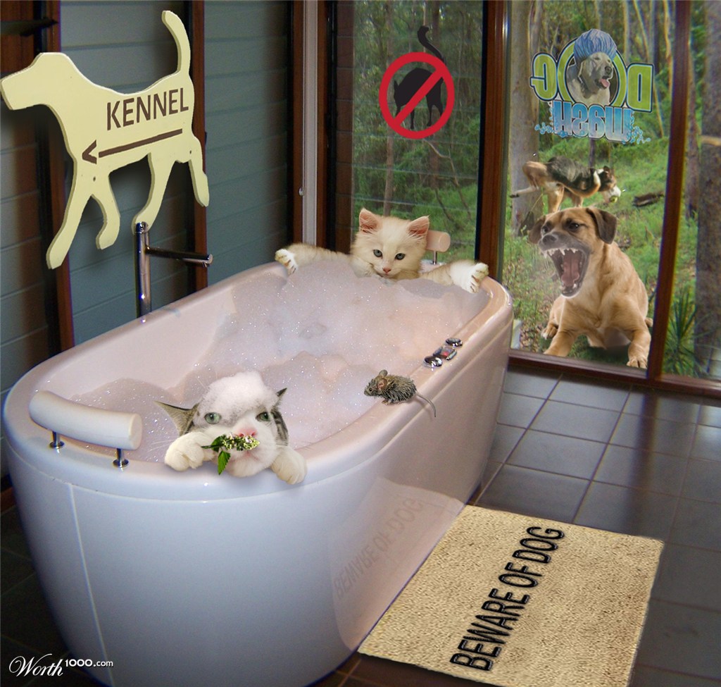 Cat Nip and Bubble Bath