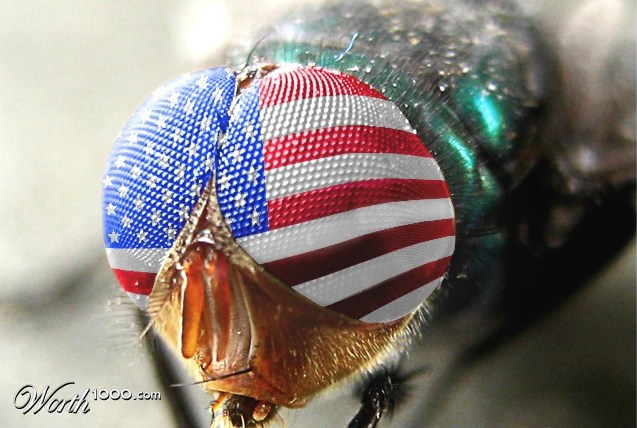 patriotic buzz