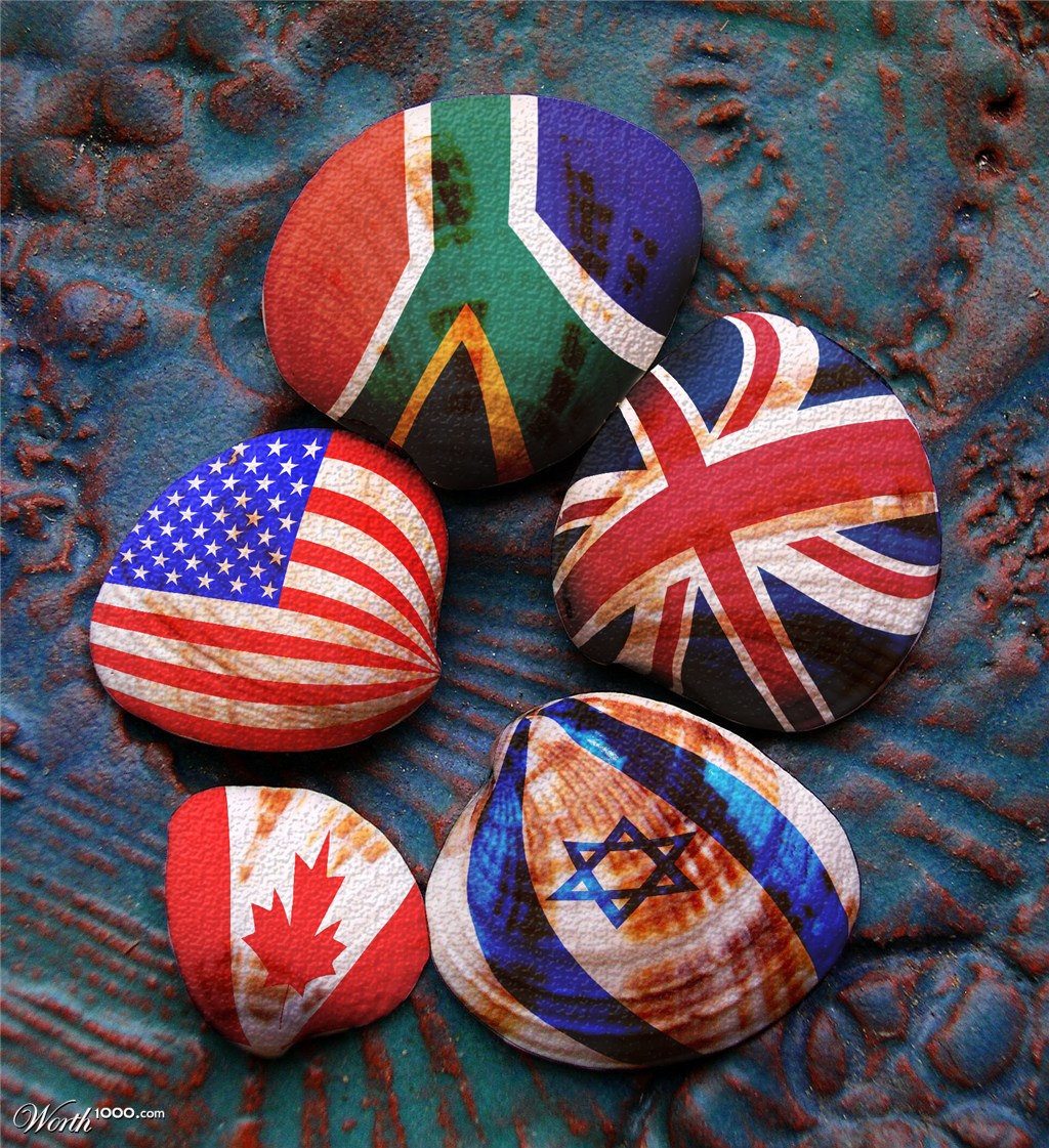 Shells of the world