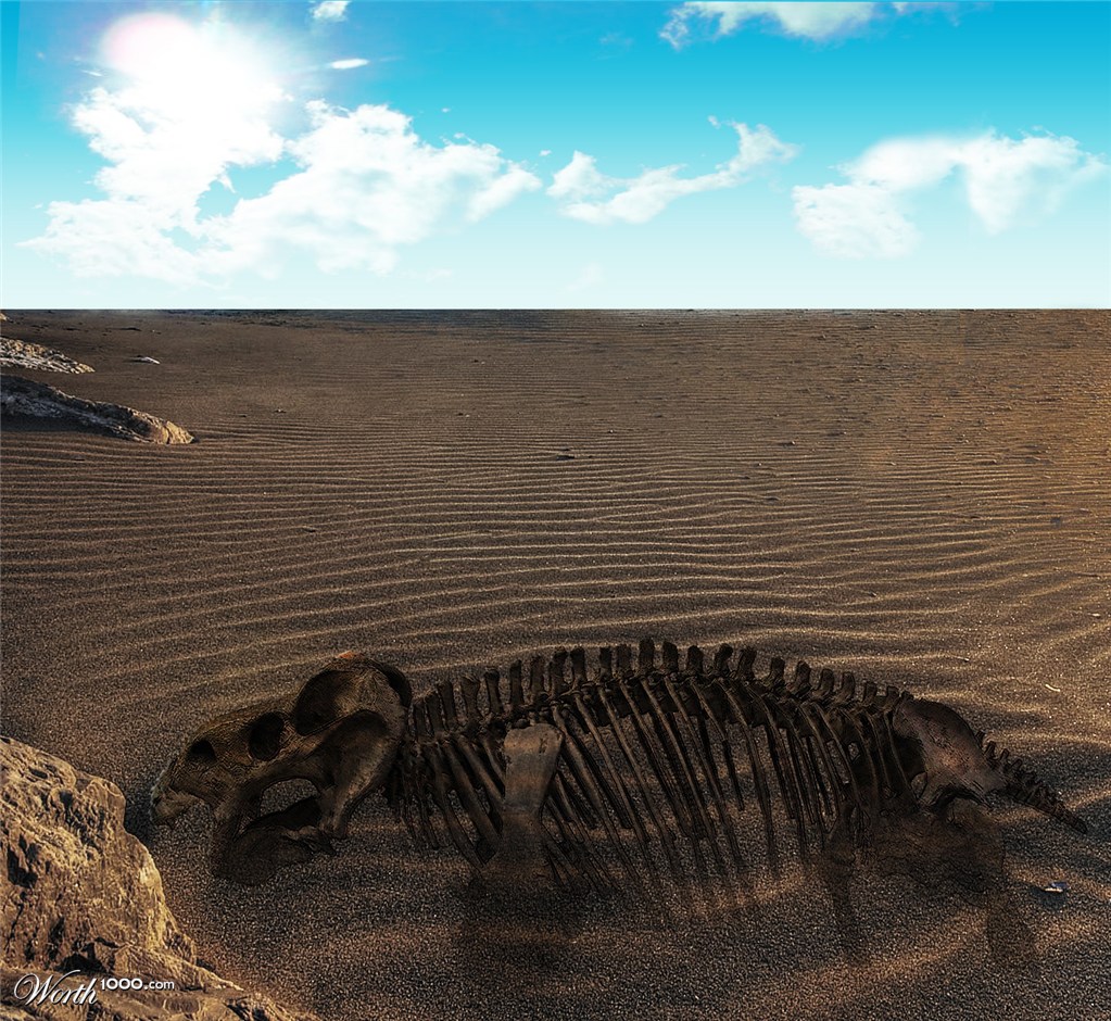 lost in the desert