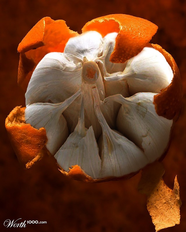 Garlicmand.