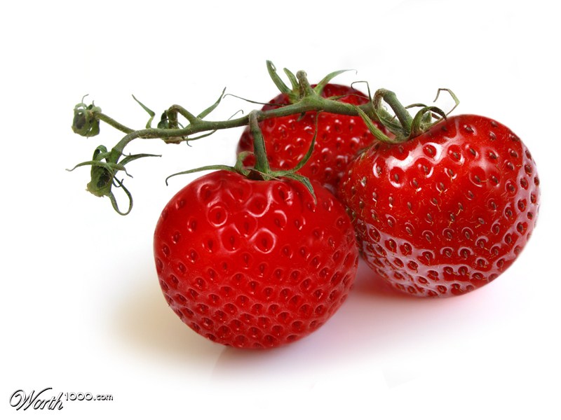 Stratomato berry