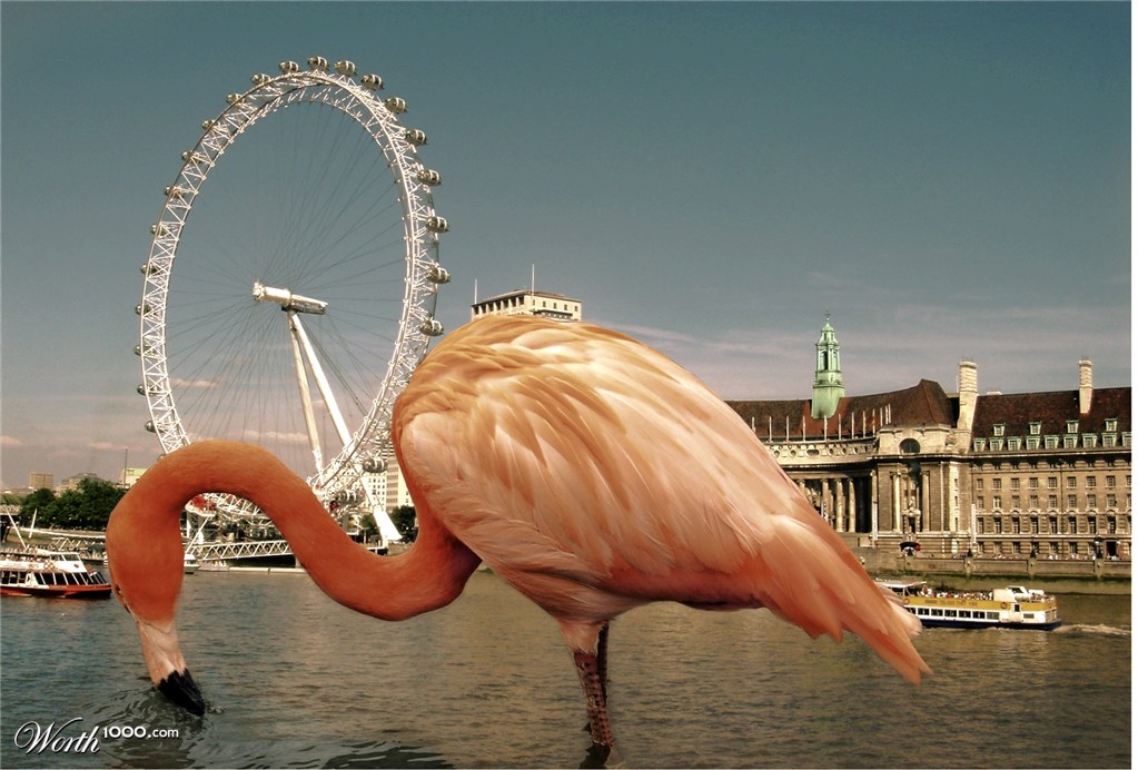 Flamingo giant