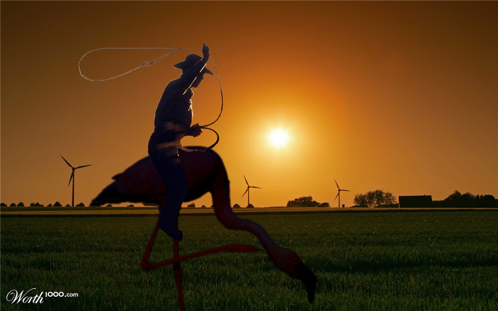 Cowboy Flamingo