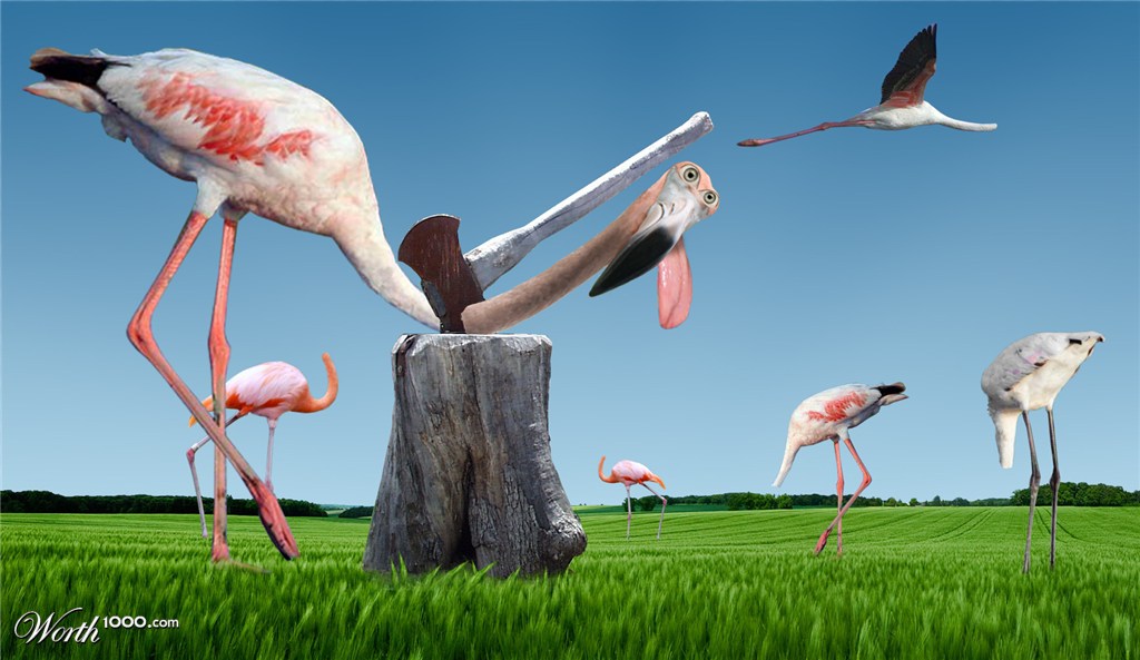 Chop A Flamingo