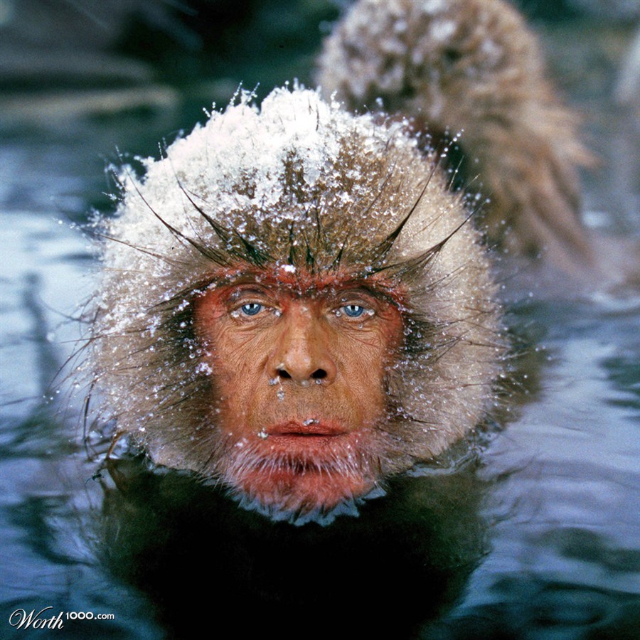Snow Valentino