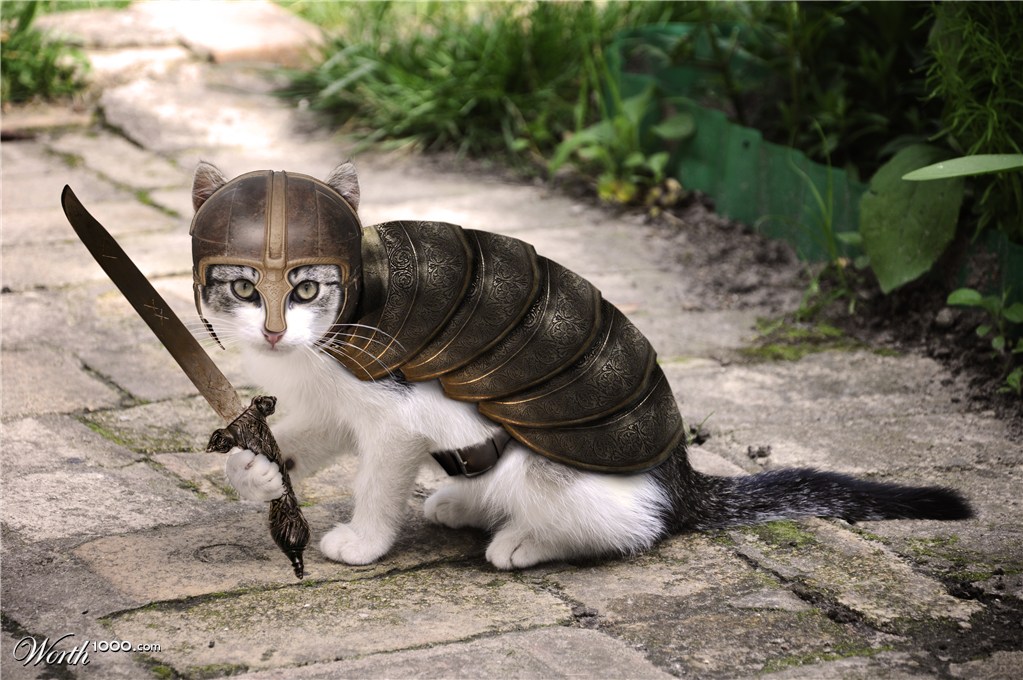 Cute but deadly