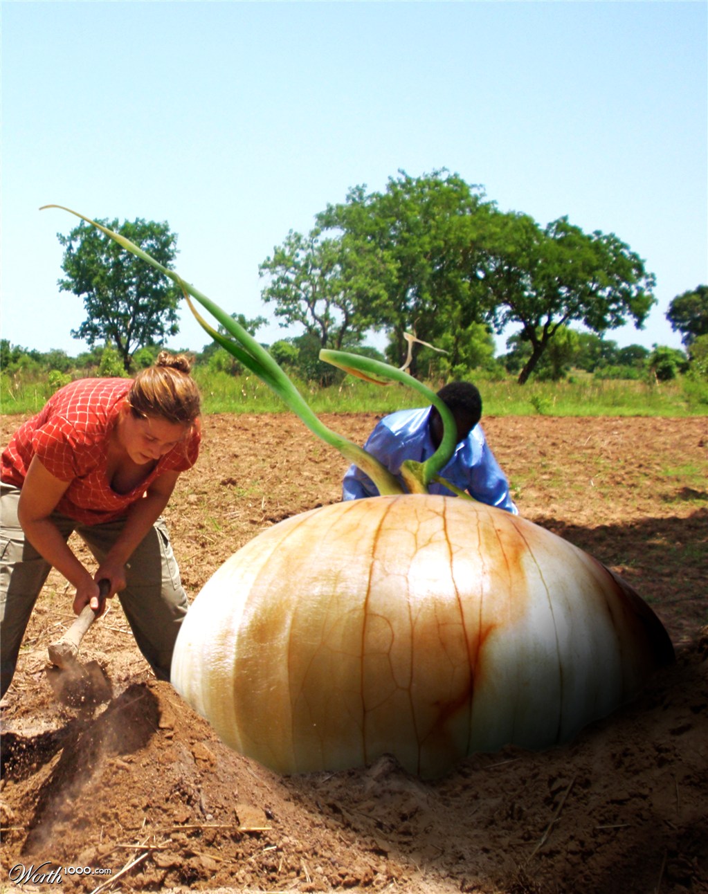 Gigantic Onion