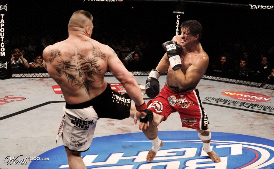 Brock Lesnar Vs Rocky Balboa