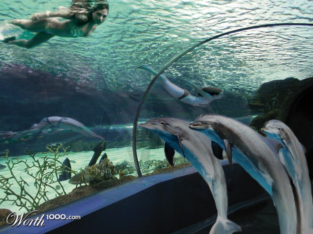 Aquarium