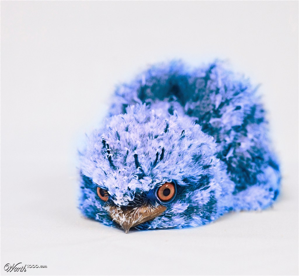 Blu-Blu