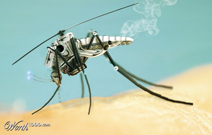 Mosquito !