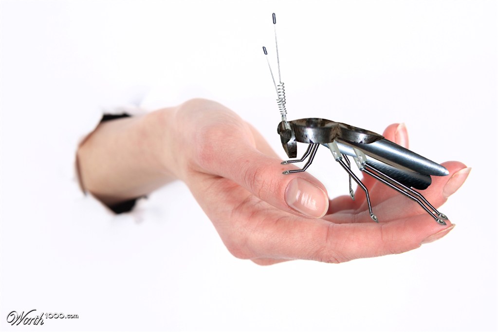 cockroach