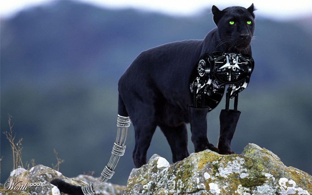 black cyber panther