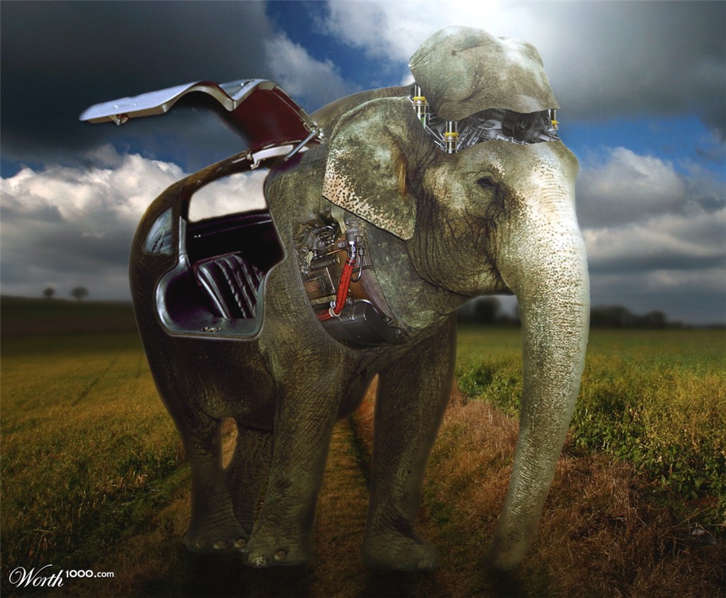 Elephant