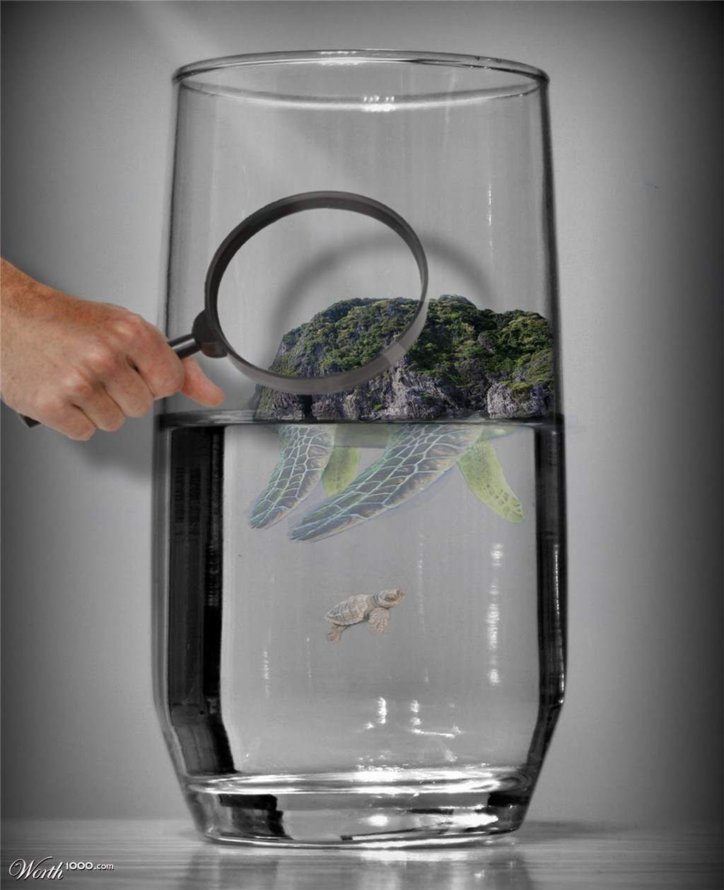 I Say, Is That An Ancient Turtle Island In Your Water?