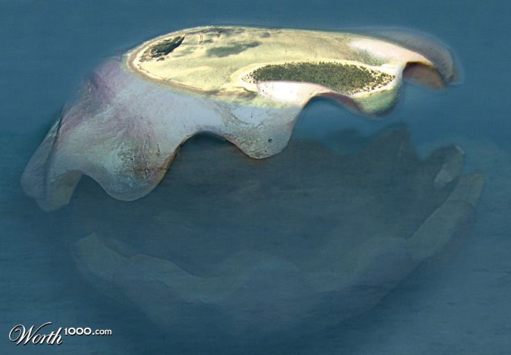 island shell