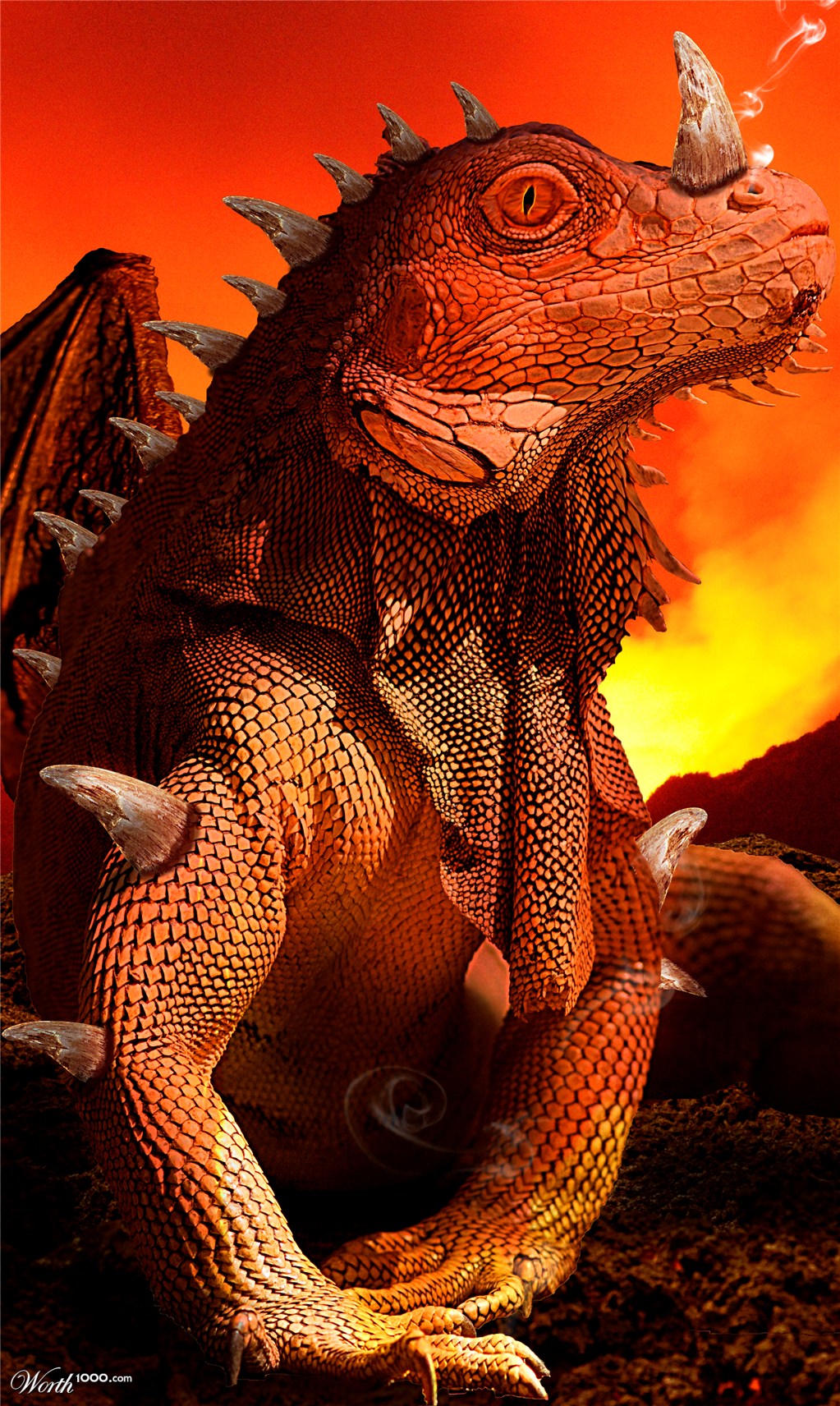 The king of dragons