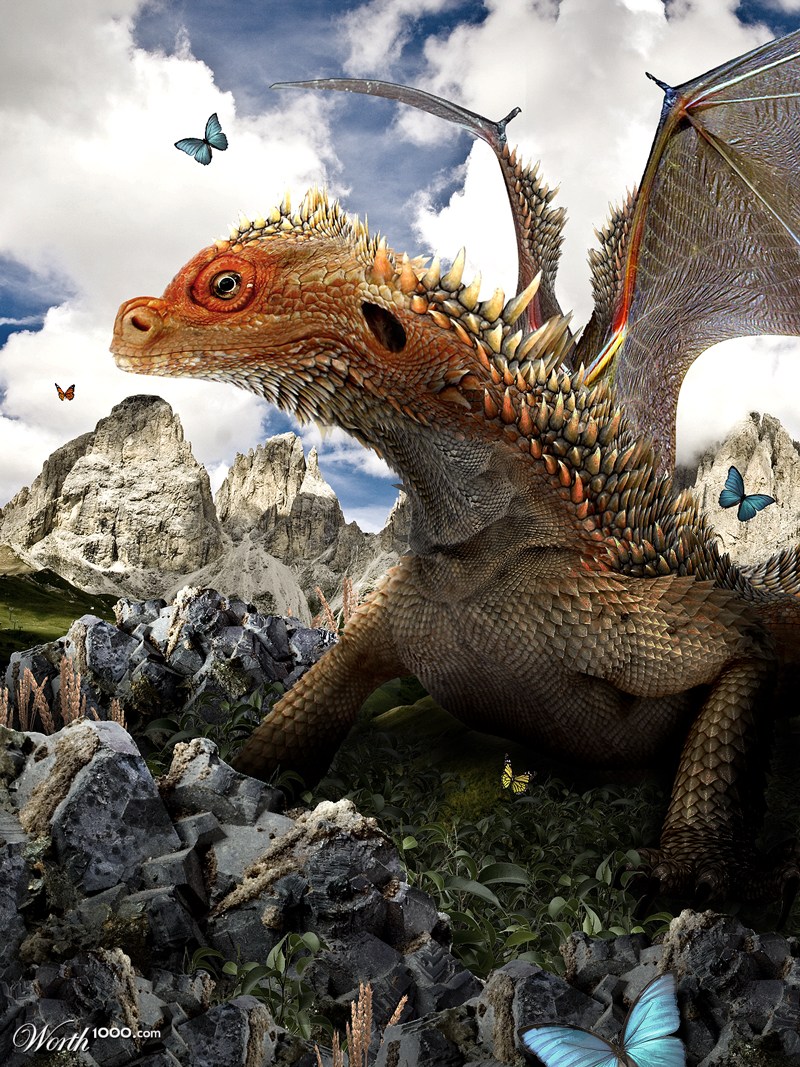 Mountain Dragon