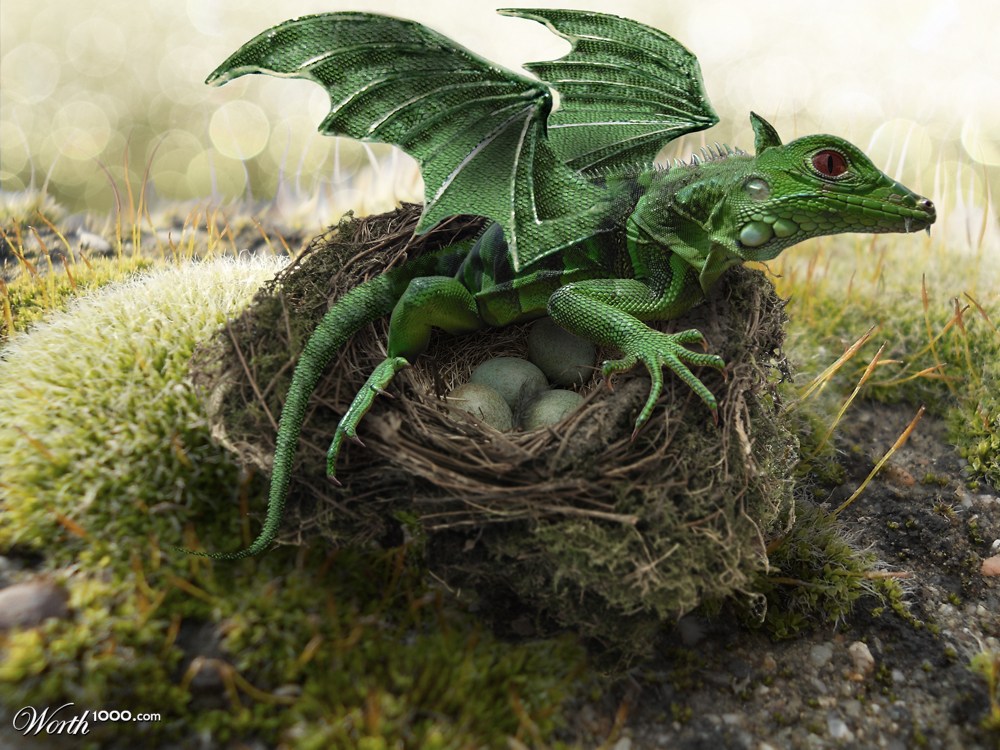 Dragon Nest