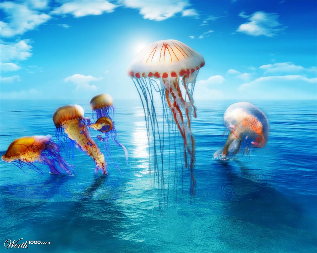 Migration