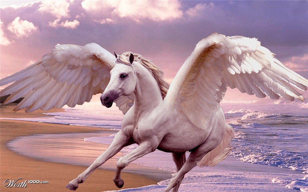 Pegasi