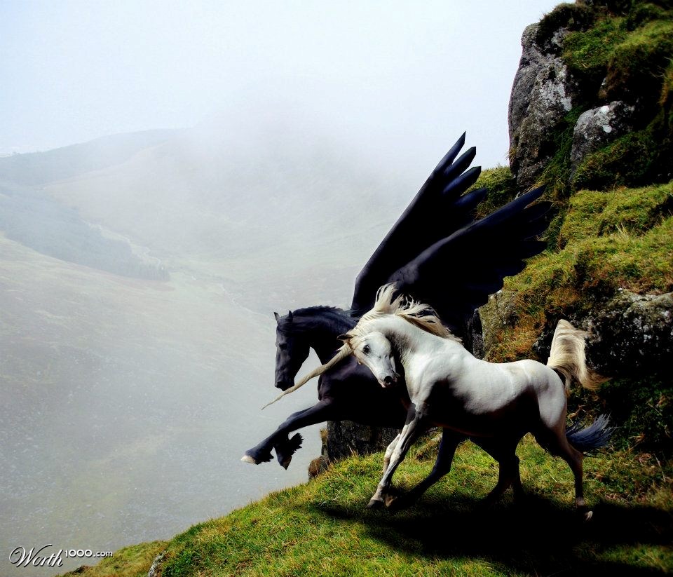 Leap of Faith