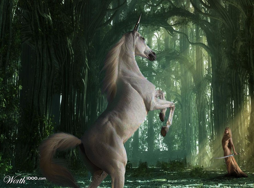 The Encounter