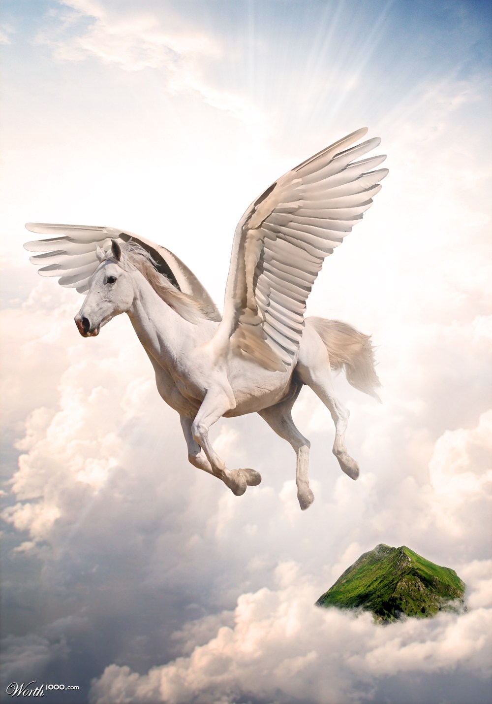 Fly in the clouds