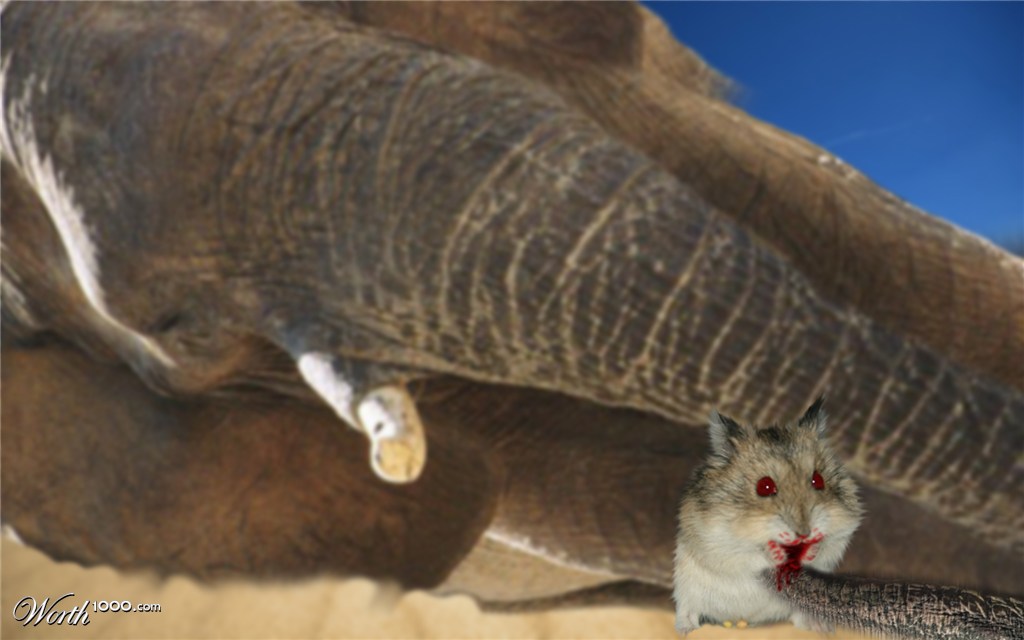 hamster eating an elephant