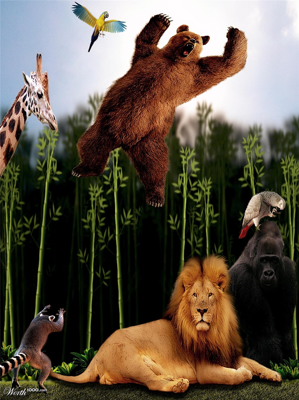 Fly bear, fly...