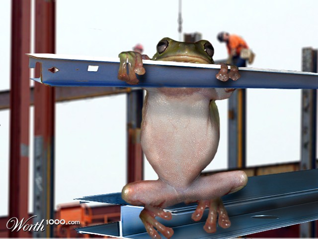 Iron Worker Frog