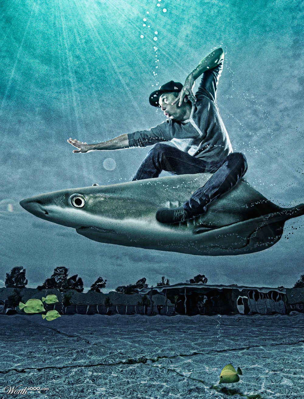 Shark Rider