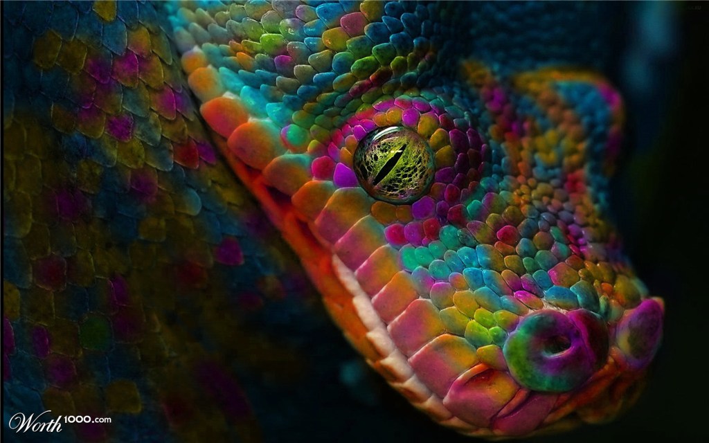 Rainbow Python