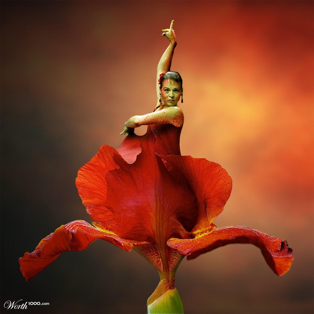 Flamenco Iris