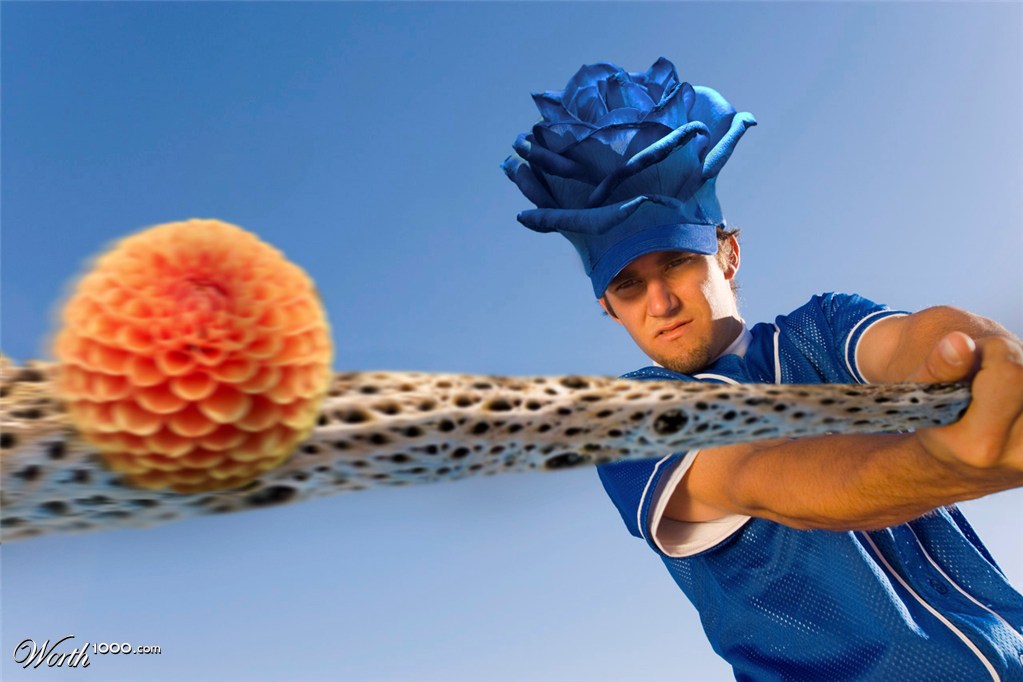 Play Ball!!