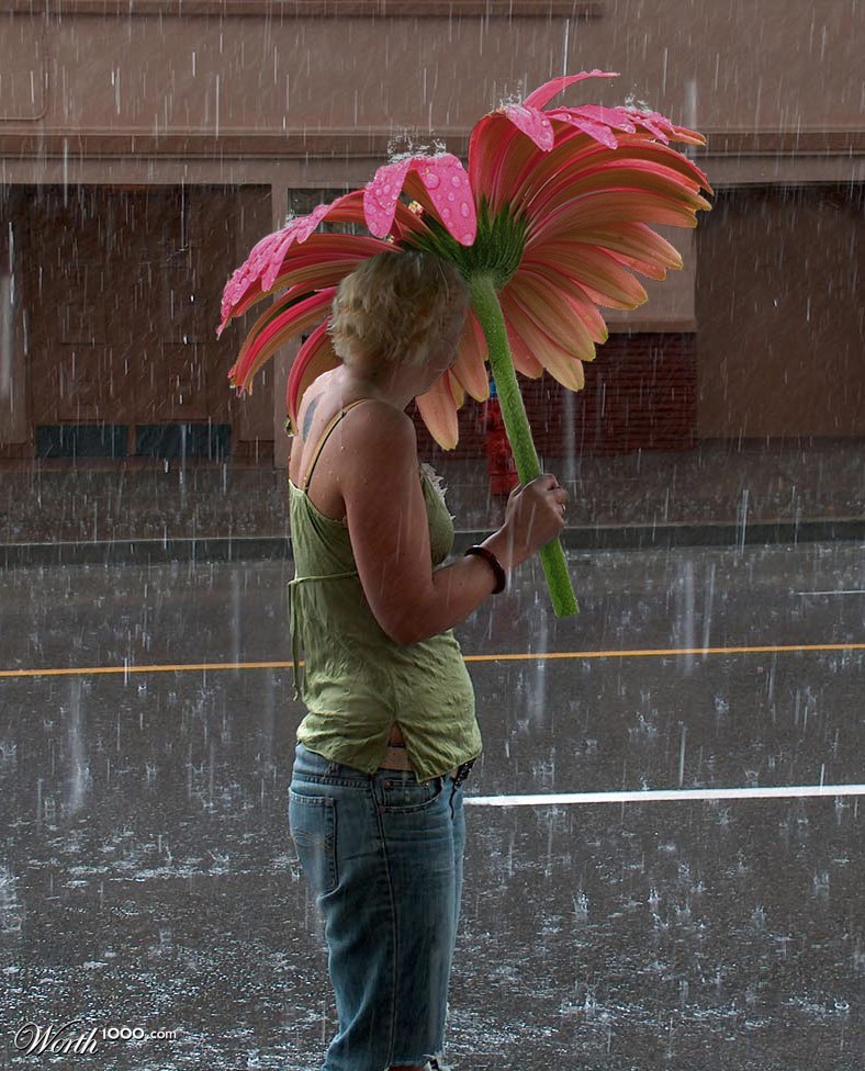 A Rainy Day