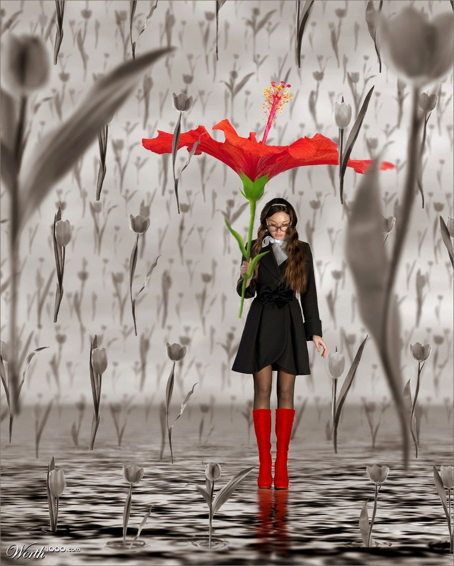It's Raining Tulips