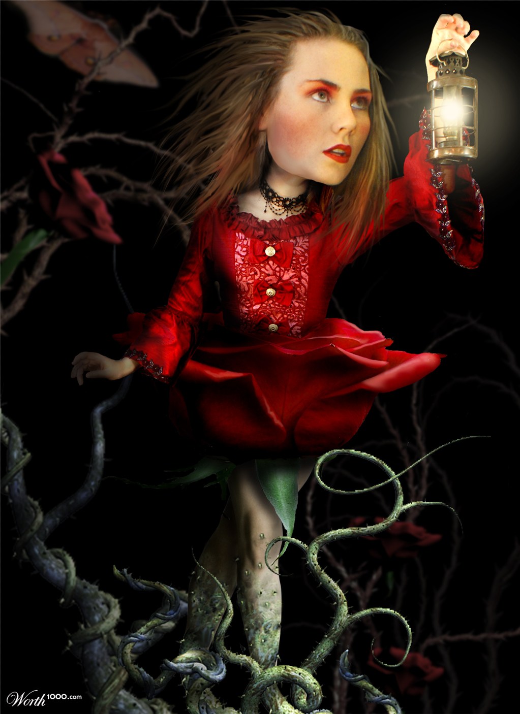Night Rose