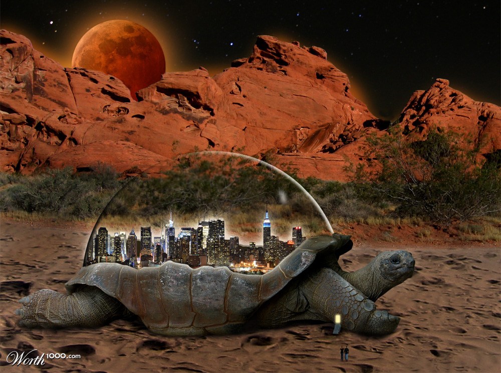 Turtle City