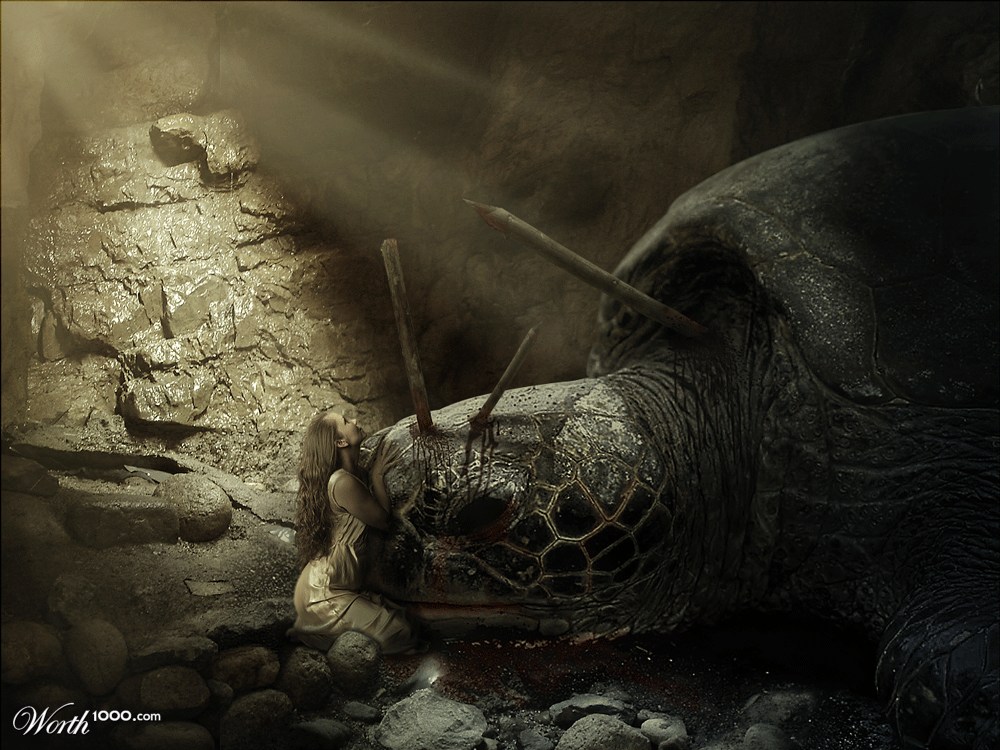 Giant Turtle's Death