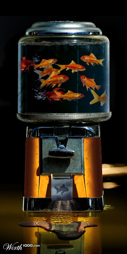 Fish Dispensary