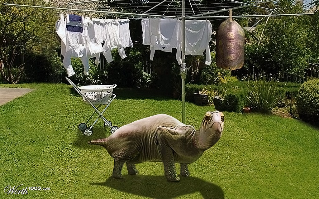 I Hate Wash Day