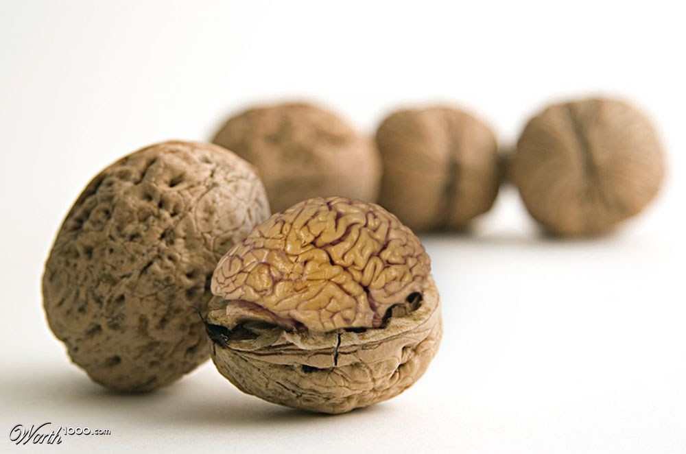 Brainut