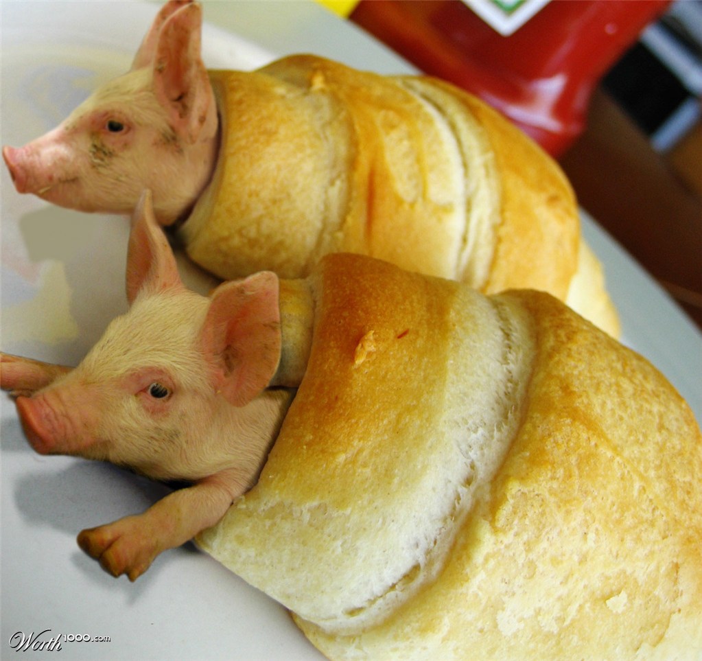 Pigs In A Blanket