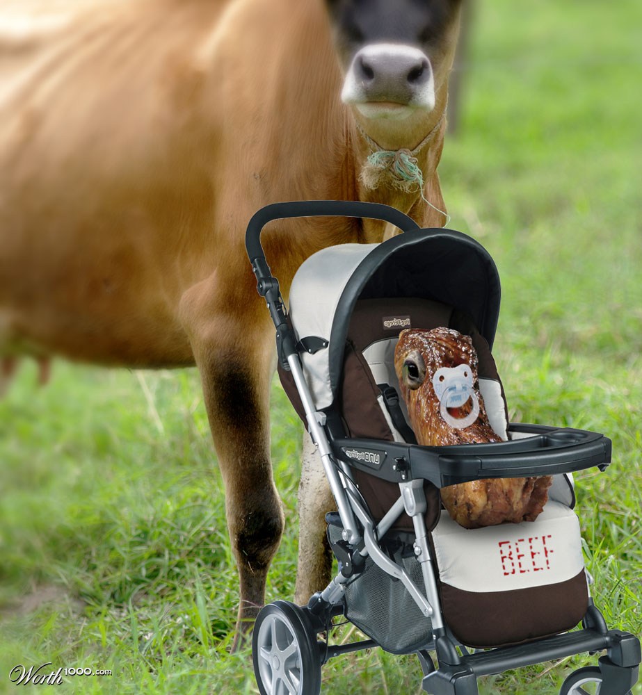Baby Beef