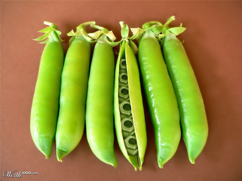 Pea Nuts